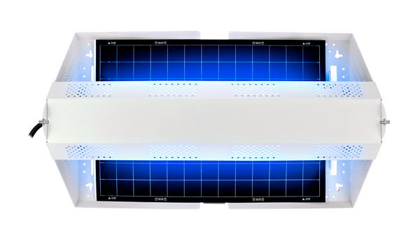 Trampa De Pegamento Para Moscas A-117