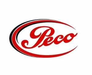 PECO FILTER ELEMENT PCHG-372/ICN-00-031922
