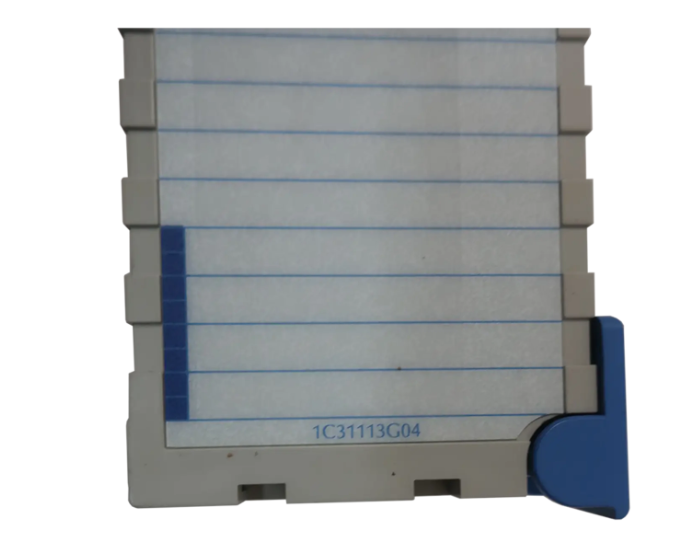 EMERSON Input Output Módulo 1C31113G04
