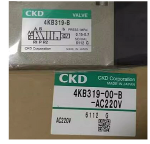 CKD Válvula solenoide 4KB319-00-B-AC220V