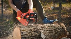 Chainsaw Parts (Partes Chainsaw)