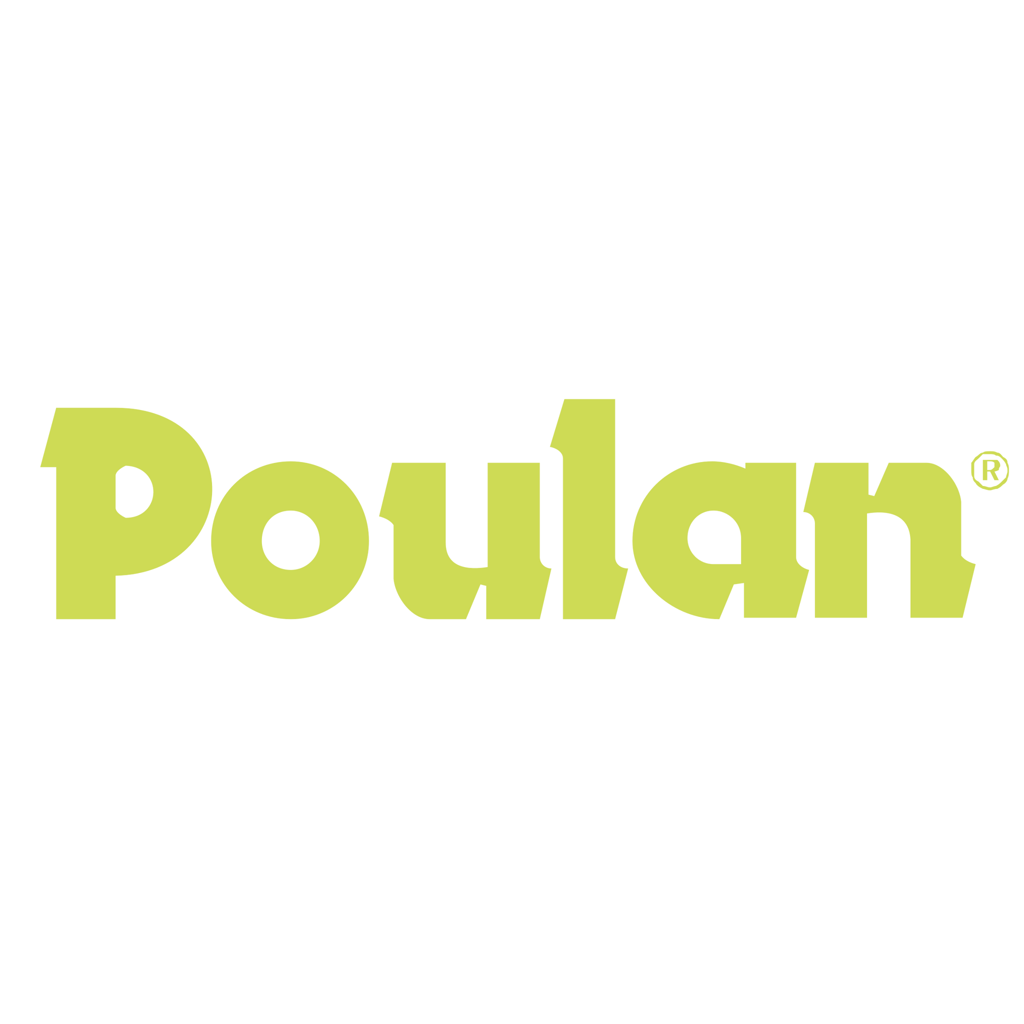 Poulan Parts (Partes Poulan)